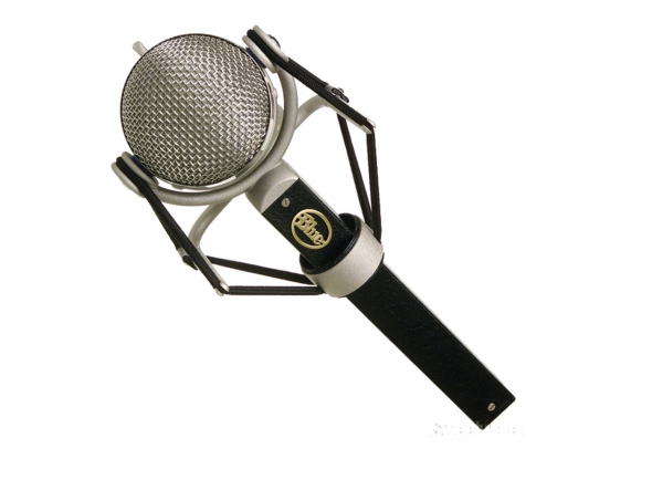 Blue Dragonfly Blue Dragonfly